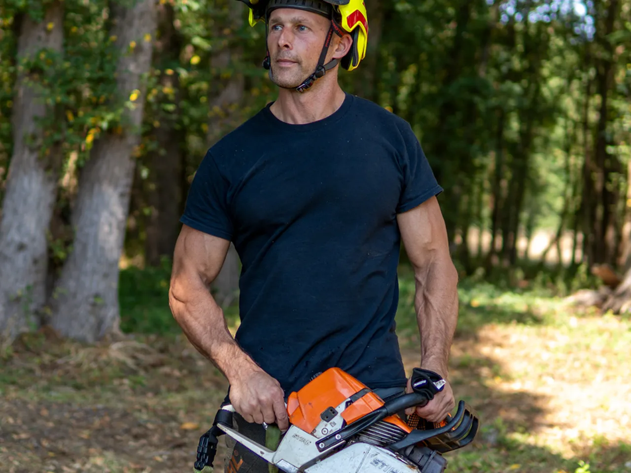 Tree surgeon in forest with chainsaw
