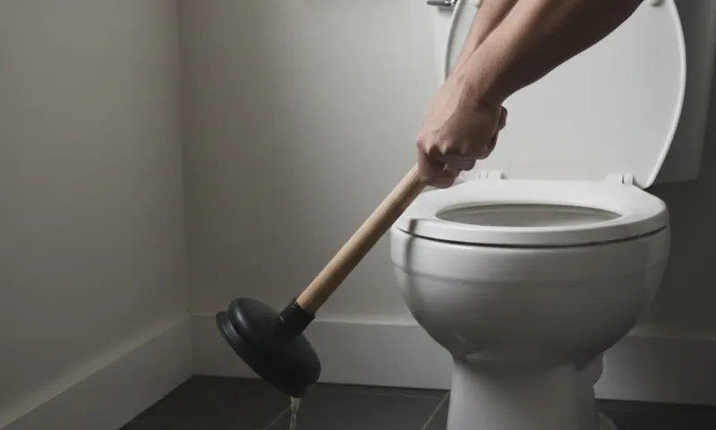 How to Unblock a Toilet Safely