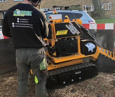 Tree surgeon operating a yellow stump grinder with protective gear in a residential area, wearing a black Essex Tree Brothers shirt.