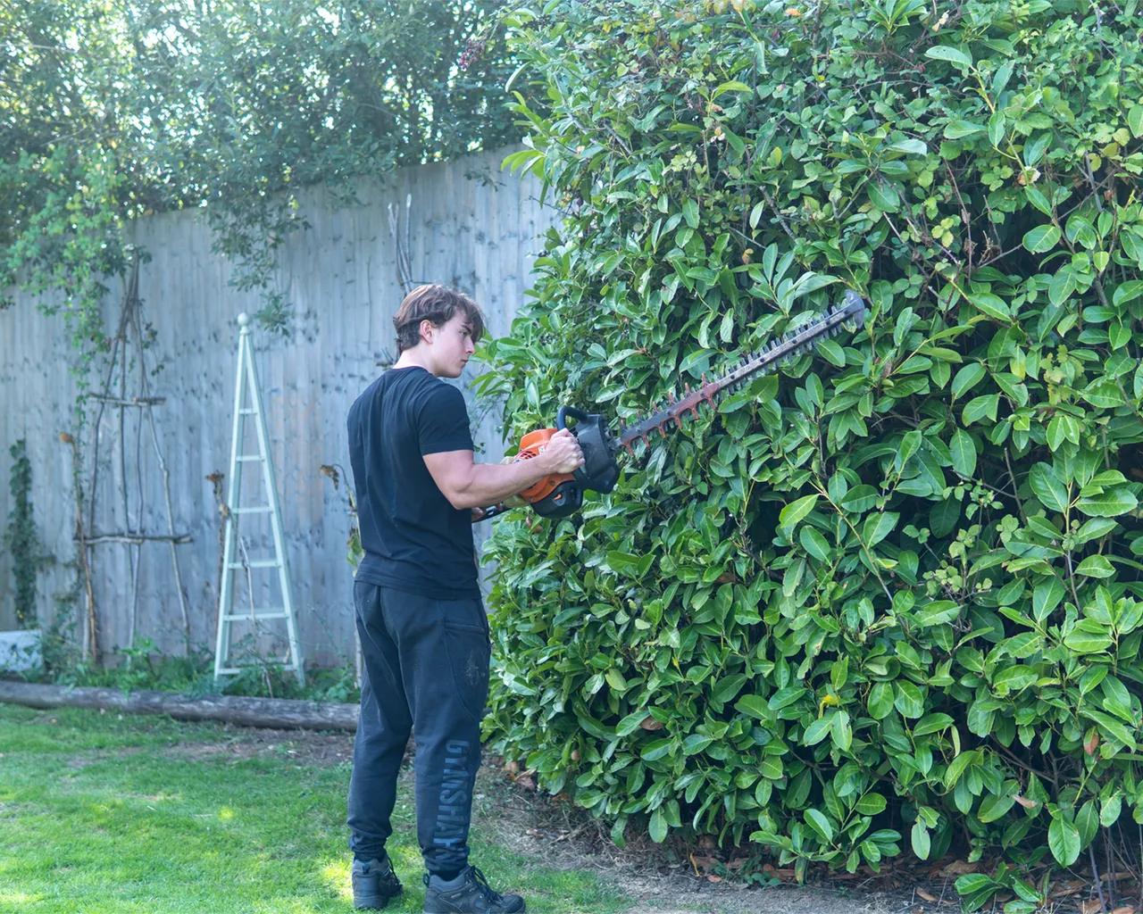Hedge Trimmer
