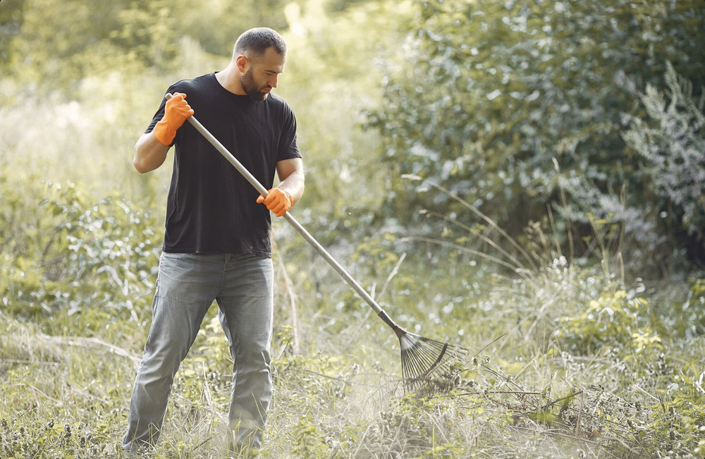 Weed Control Garden Preparation