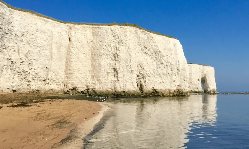 Tip Opening Times in Kent: Everything You Need to Know