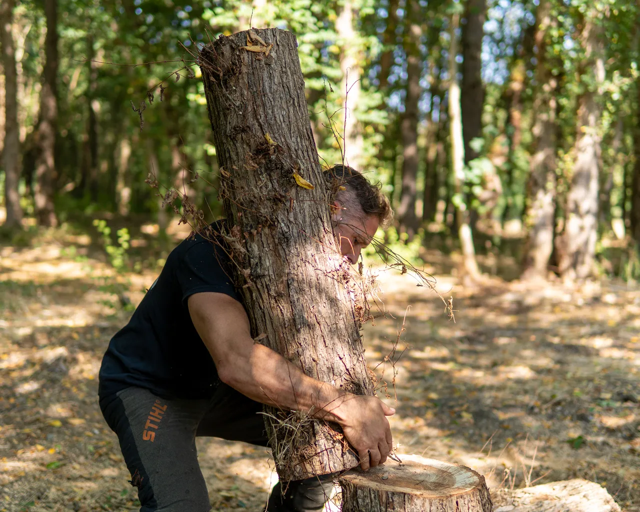 Tree Surgeon Holding Log