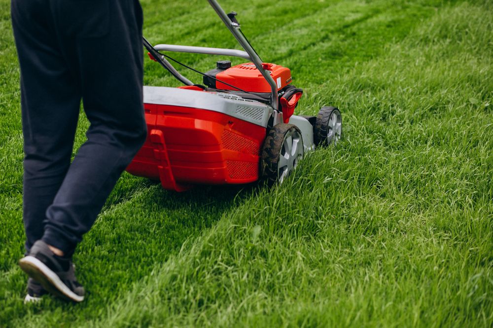Regular Lawn Mowing Plans