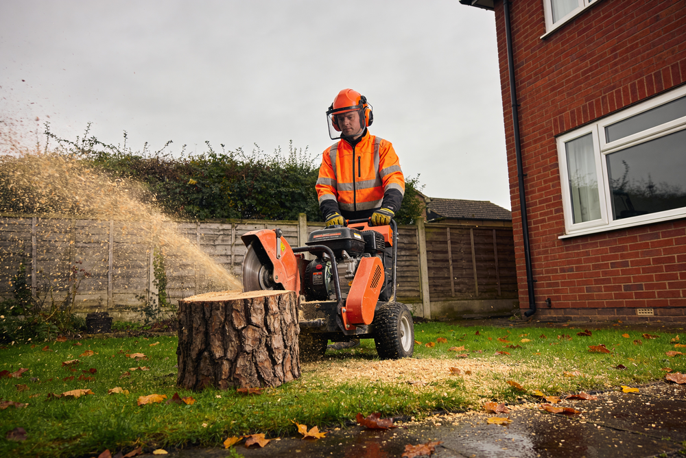 Guy In Garden Using Stump Grinder To Grind Stump