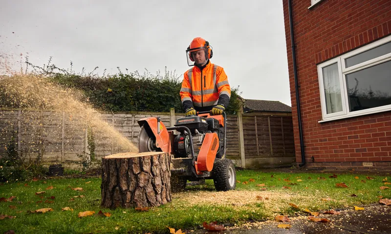 The Complete Guide to Stump Grinding and Removal