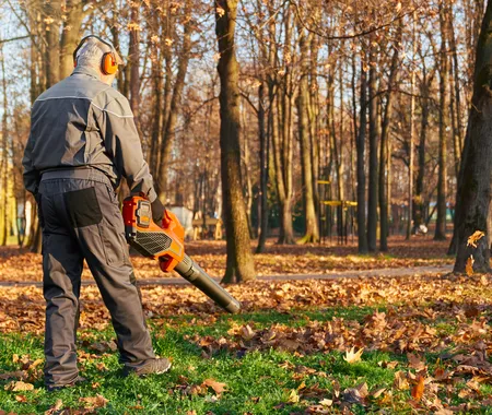 Leaf Blowing