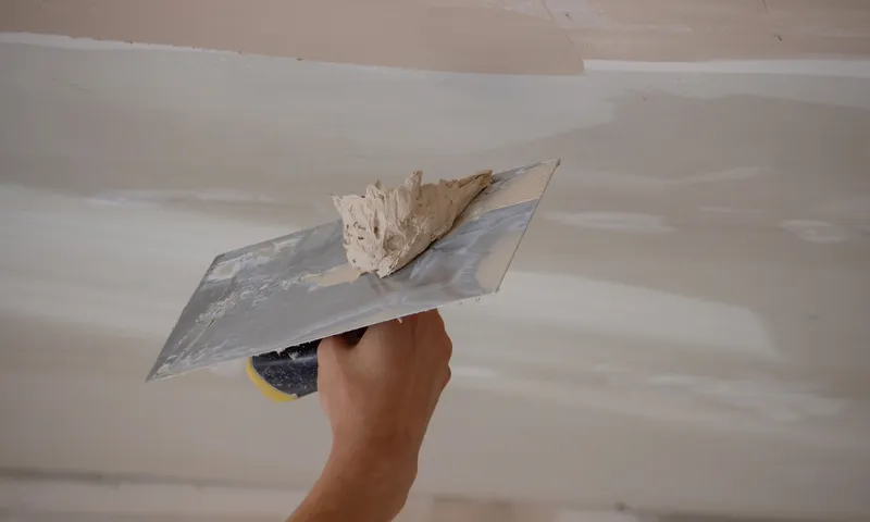 Ceiling Plaster Repairs