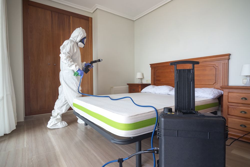 Emergency Bed Bug Treatment Services