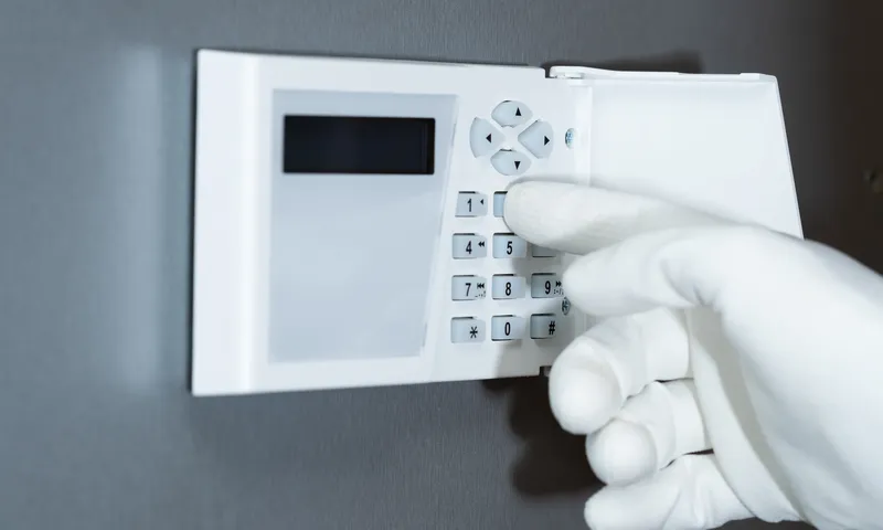 Why Professional Security Services Are Essential