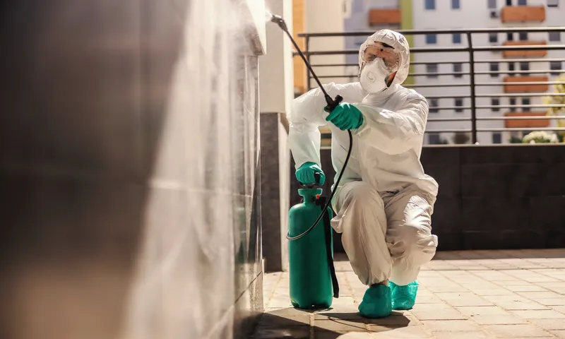 Why Professional Pest Treatment Matters