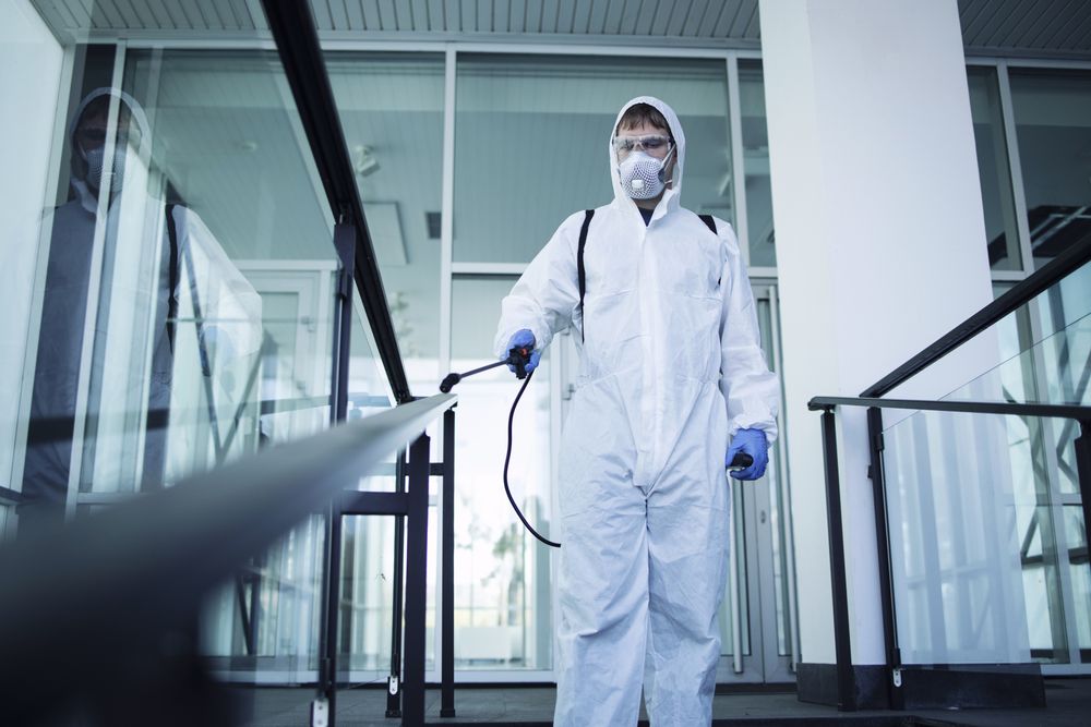 Why Professional Pest Control Is Essential
