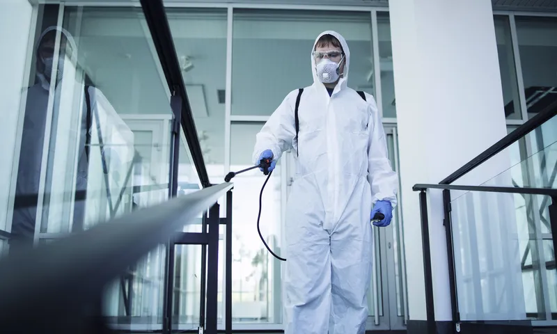 Why Professional Pest Control is Essential