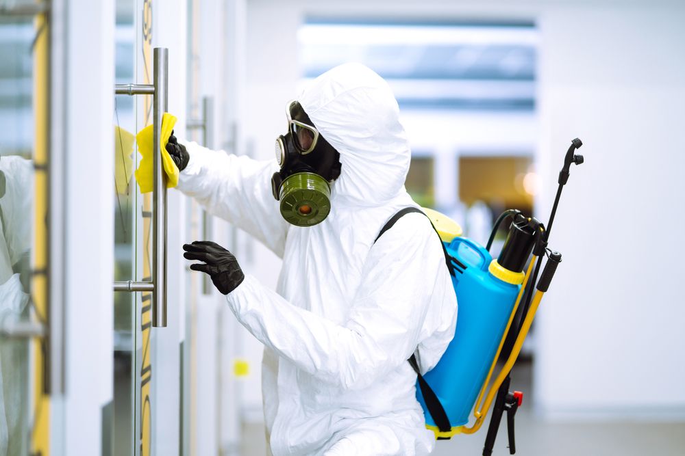 Commercial Pest Control Solutions
